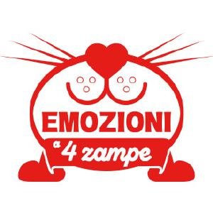 emozioni 4