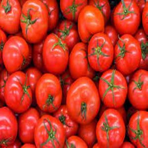 Pomodoro